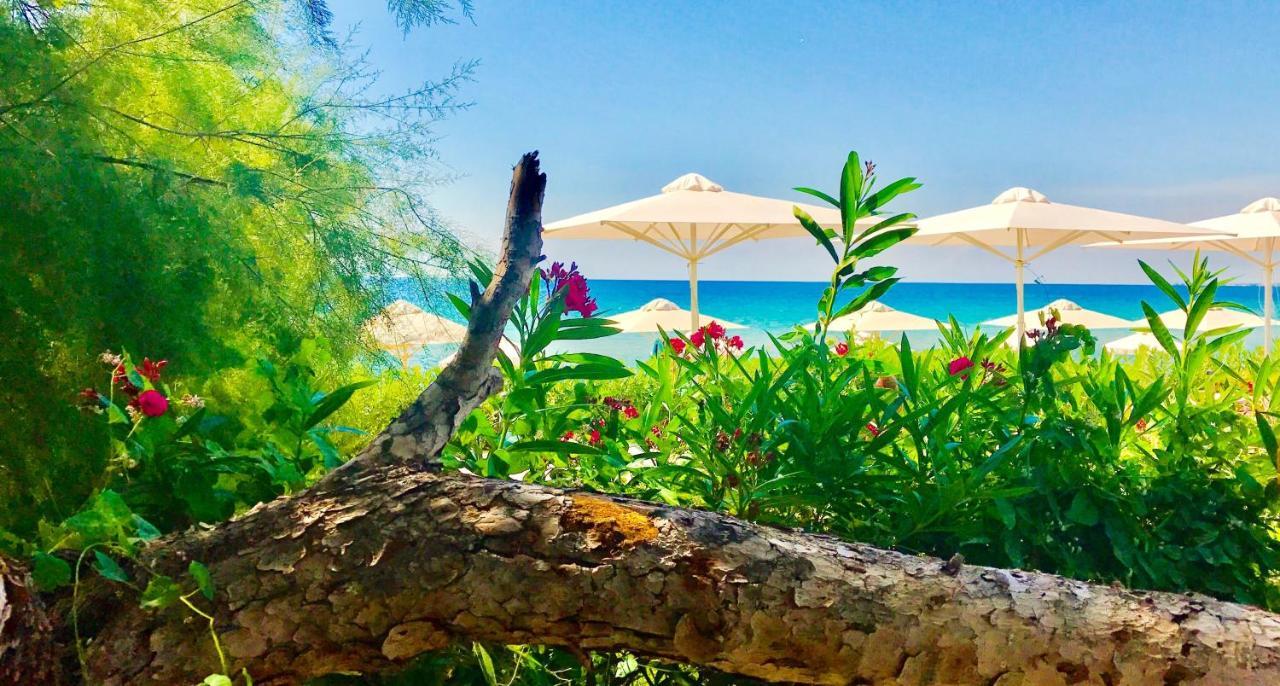 Kassandra Mare Hotel Nea Poteidaia Luaran gambar
